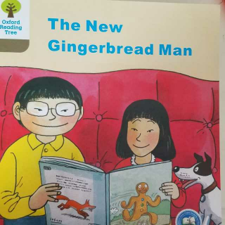 DD2-8 The New Gingerbread Man