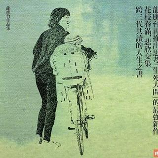 目送-18-散步