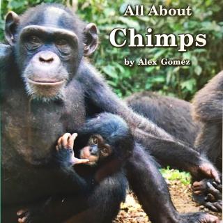 G1 book108 All about chimps