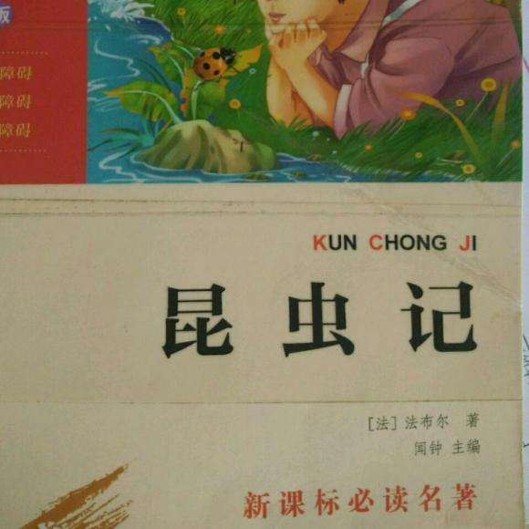 《昆虫记》四,松毛虫④