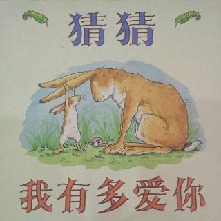 猜猜我有多爱你