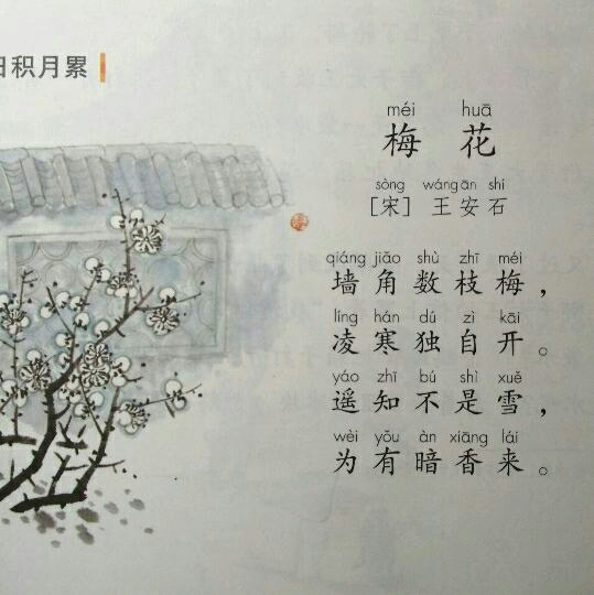 梅花王安石诗文图片