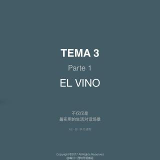 西班牙语实用对话手册 T03P01 El vino