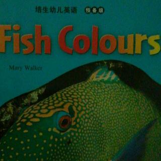 Fish Colours