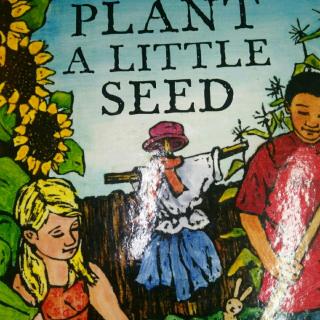 Plant a little seed