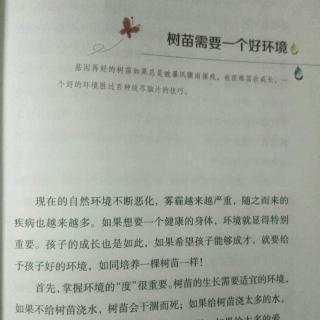 树苗需要一个好环境