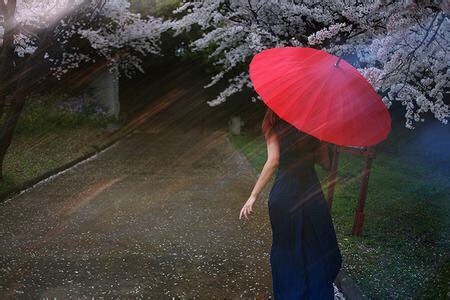 舒婷:雨别