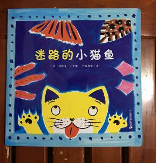 小猫鱼～迷路的小猫鱼🐱🐟