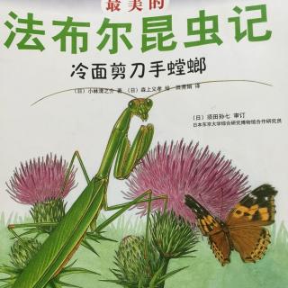 285期《法布尔昆虫记——冷面剪刀手螳螂》
