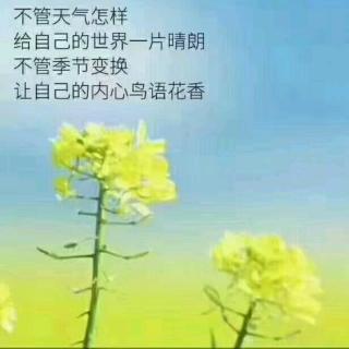 《无法左右的，就随缘吧》