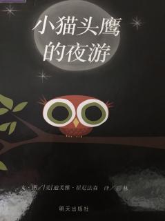 小猫头鹰的夜游