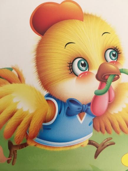 小公鸡和小鸭子