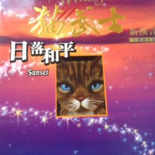 猫武士日落和平第一章1