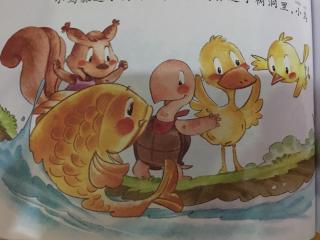 贾老师讲故事《营救小鸭子》