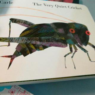 the very quiet cricket