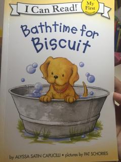 D146 bathtime for biscuit