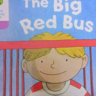 The Big Red Bus-ORT