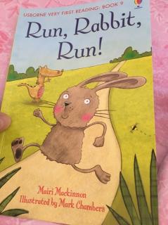 Run ，Rabbit，Run！