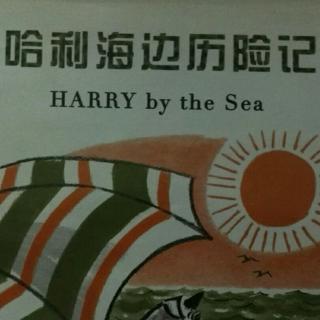 绘本《哈利海边历险记》