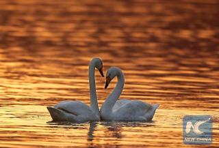 love - By Roy Croft