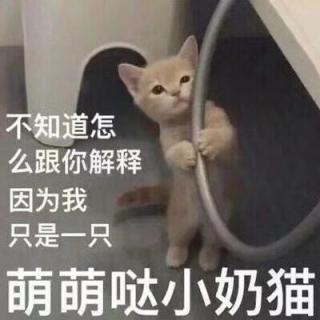 林徽因《六点钟在下午》