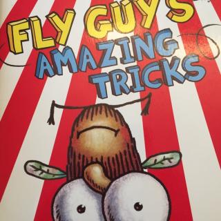 Book talk Fly guy's amazing tricks20170916