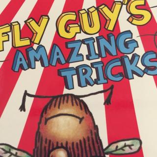 Fly guy's amazing tricks20170916