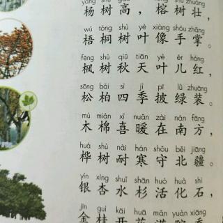 树之歌课文 原文图片