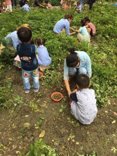 幼教之声：《孩子撒谎了，我们该怎么做》