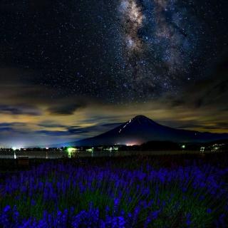 海滨仲夏夜