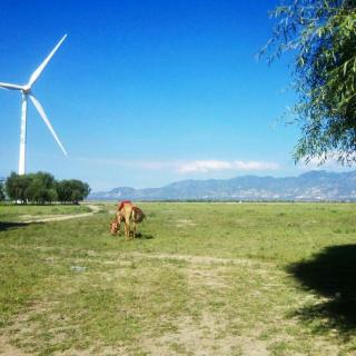 借我十年 借我亡命天涯的勇敢