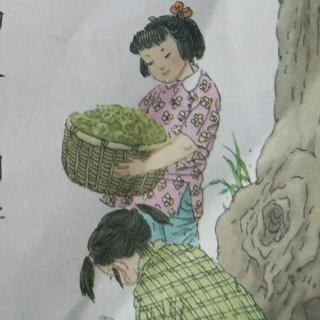 4  槐乡的孩子