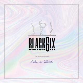 BLACK6IX--Like a Flower 