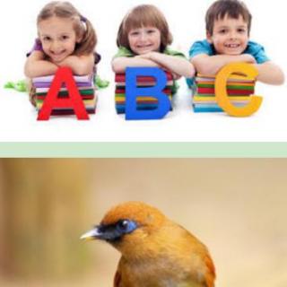 英文只是“学鸟叫”吗？--对于低幼儿童学英文一些家长错误观