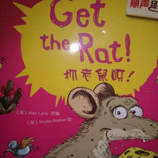 GET THE RAT!