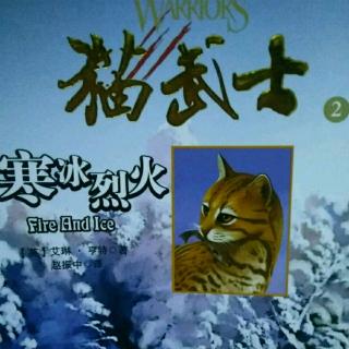 猫武士―寒冰烈火23