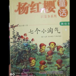 杨红樱童话（七个小淘气）之一