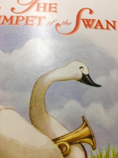 The Trumpet of the Swan(17).20170917