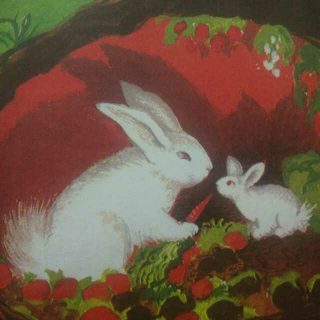 《逃家小兔》〔美〕玛格丽特·怀兹·布朗
