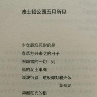 波士顿公园五月见  郑愁予