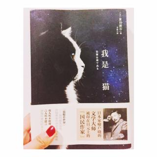 <我是猫>4---夏目漱石