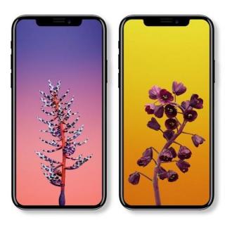 iPhone X延迟上市导致苹果概念股下跌