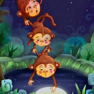 故事1《猴子捞月》