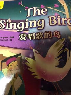 The singing bird 爱唱歌的鸟