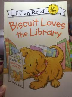 D151 biscuit loves the library