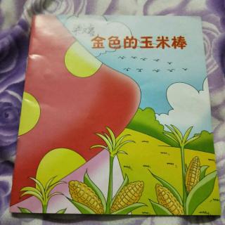 金黄色的玉米棒