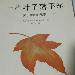 一片叶子落下来