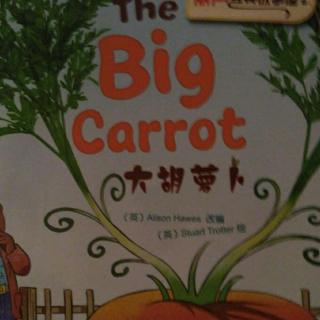 THE BIG CARROT