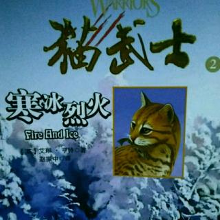 猫武士―寒冰烈火27