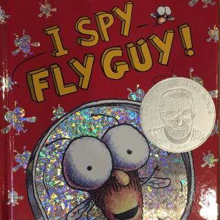 I Spy Fly Guy！